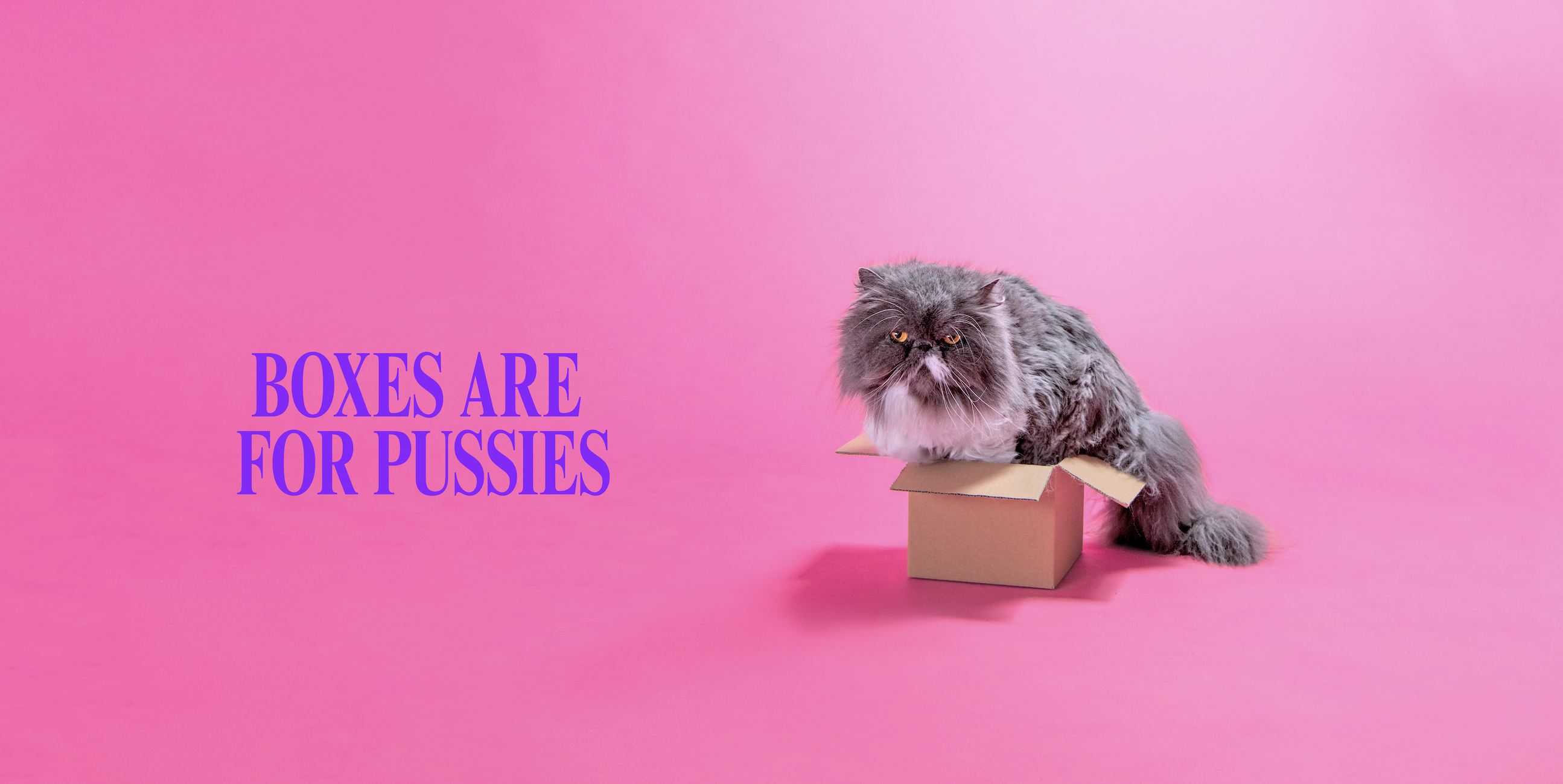 Boxes are for pussies